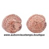 ANTONINIEN POSTUME 262 Ap J.C. TREVES 