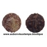 ANTONINIEN ( billon 20 ‰ ) VICTORIEN 270 Ap J.C. TREVES