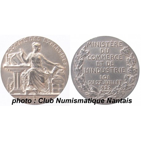 COMITE DES EXPERTISES