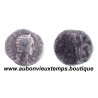 DENIER ( Argent 30 ‰ ) JULIA MAMAESA 227 Ap J.C. ROME
