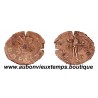 ANTONINIEN ( Billon 50 ‰ ) GALLIEN 265 - 267 Ap J.C. ROME