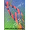 FASCICULE COUPE du MONDE -FRANCE 98 FOOTBALL 1998