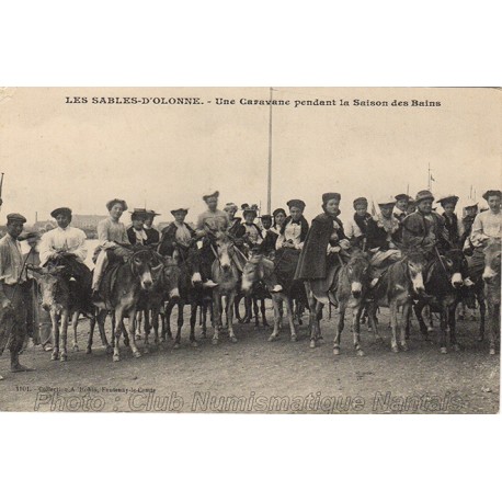 CARAVANE D'ANES - SAISON DES BAINS - LES SABLES D'OLONNE 85