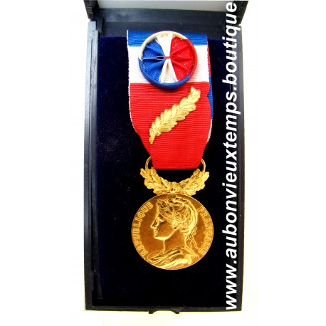 MÉDAILLE d’HONNEUR du TRAVAIL - MINISTERE du TRAVAIL Bronze Doré 