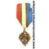 MEDAILLE Bronze de l' UNION NATIONALE des COMBATTANTS ( U.N.C.) 