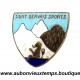 INSIGNE SAINT GERVAIS SPORTS