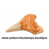 DENT REQUIN OTODUS OBLIQUUS FOSSILE - MAROC