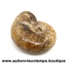 AMMONITES ou AMMONOIDEA – SOUS CLASSE FOSSILE des MOLLUSQUES CEPHALOPODES