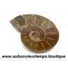 AMMONITES ou AMMONOIDEA – SOUS CLASSE FOSSILE des MOLLUSQUES CEPHALOPODES