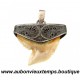 PENDENTIF ARGENT avec DENT de REQUIN