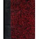 BAYARD - RELIURE des N° 448 au N° 473 1955 - BONNE PRESSE