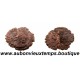 ANTONINIEN Billon ND ( 272 - 273 Ap. J.C. ) TETRICUS 1er - COLOGNE