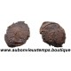 ANTONINIEN Billon ND ( 272 - 273 Ap. J.C. ) TETRICUS 1er - COLOGNE