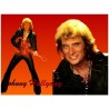DECORATION BRODERIE JOHNNY HALLYDAY N° 1
