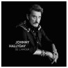 DECORATION BRODERIE JOHNNY HALLYDAY N° 1