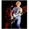 DECORATION BRODERIE JOHNNY HALLYDAY N° 26
