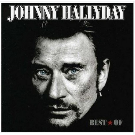 DECORATION BRODERIE JOHNNY HALLYDAY N° 29