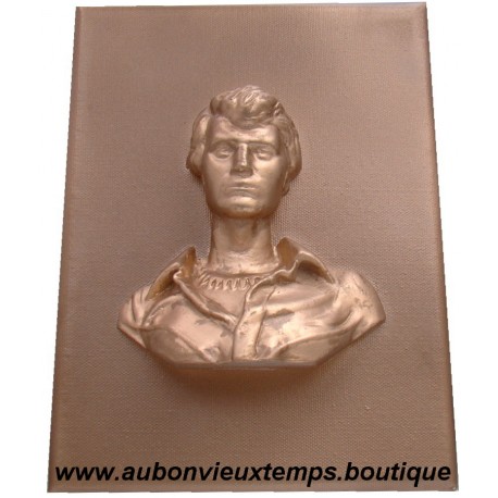 BAS RELIEF SUR TOILE - JOHNNY HALLYDAY ( SERIE TRES LIMITEE )